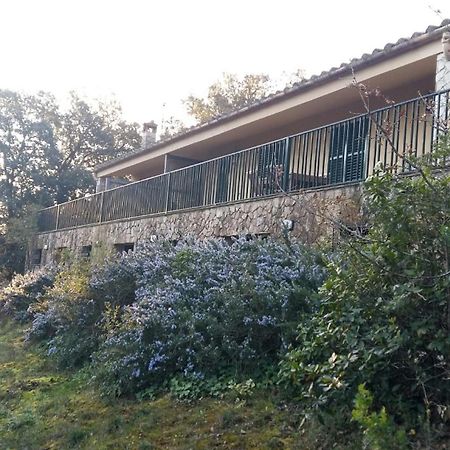 马德雷马尼亚 Mas Caterina旅馆 外观 照片